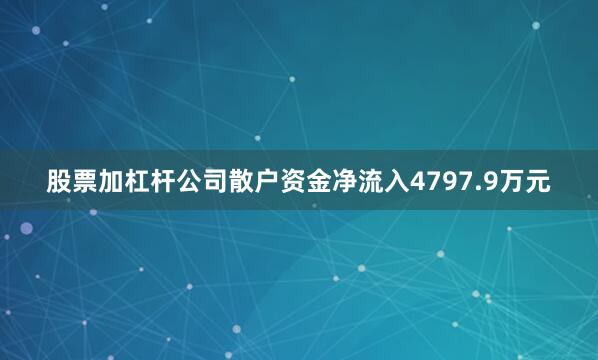 股票加杠杆公司散户资金净流入4797.9万元